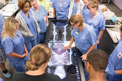 Students working around the Anatomage Table