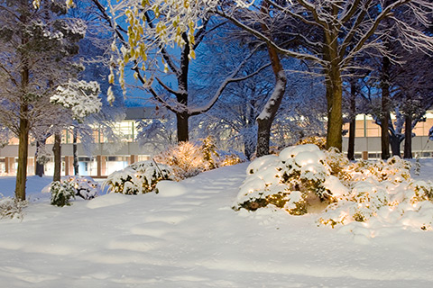 Courtyard covered in snow