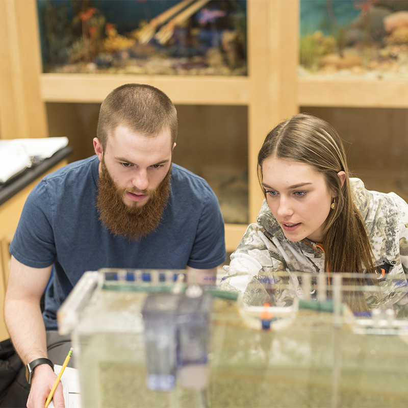 Students working in Geology lab