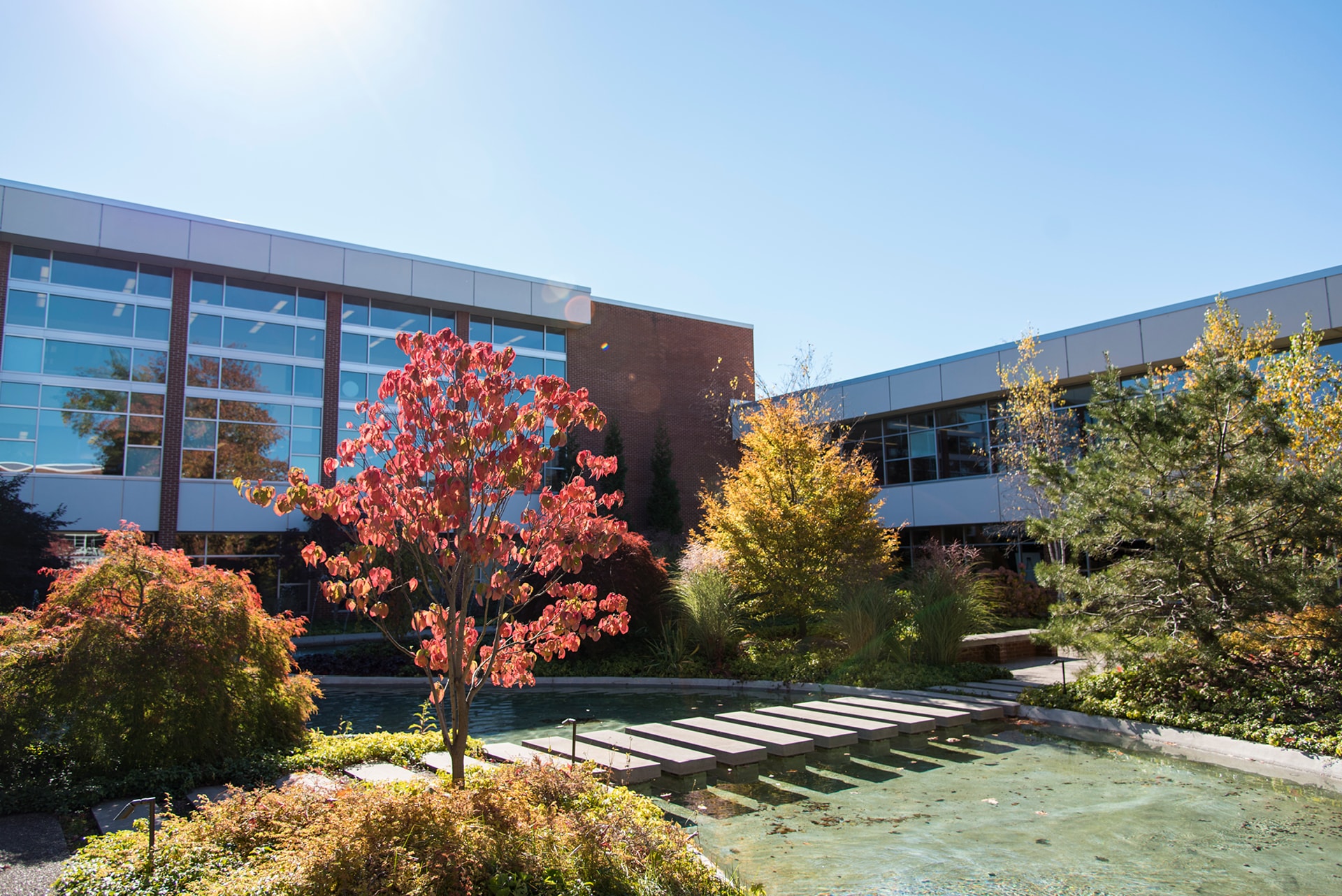 The Courtyard in the Fall