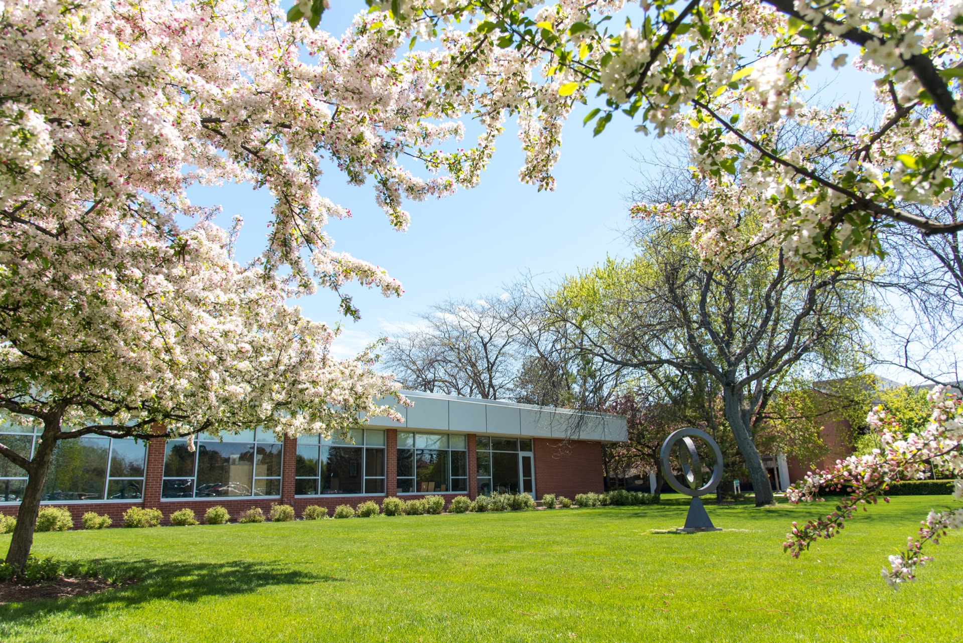 Delta College outside campus view