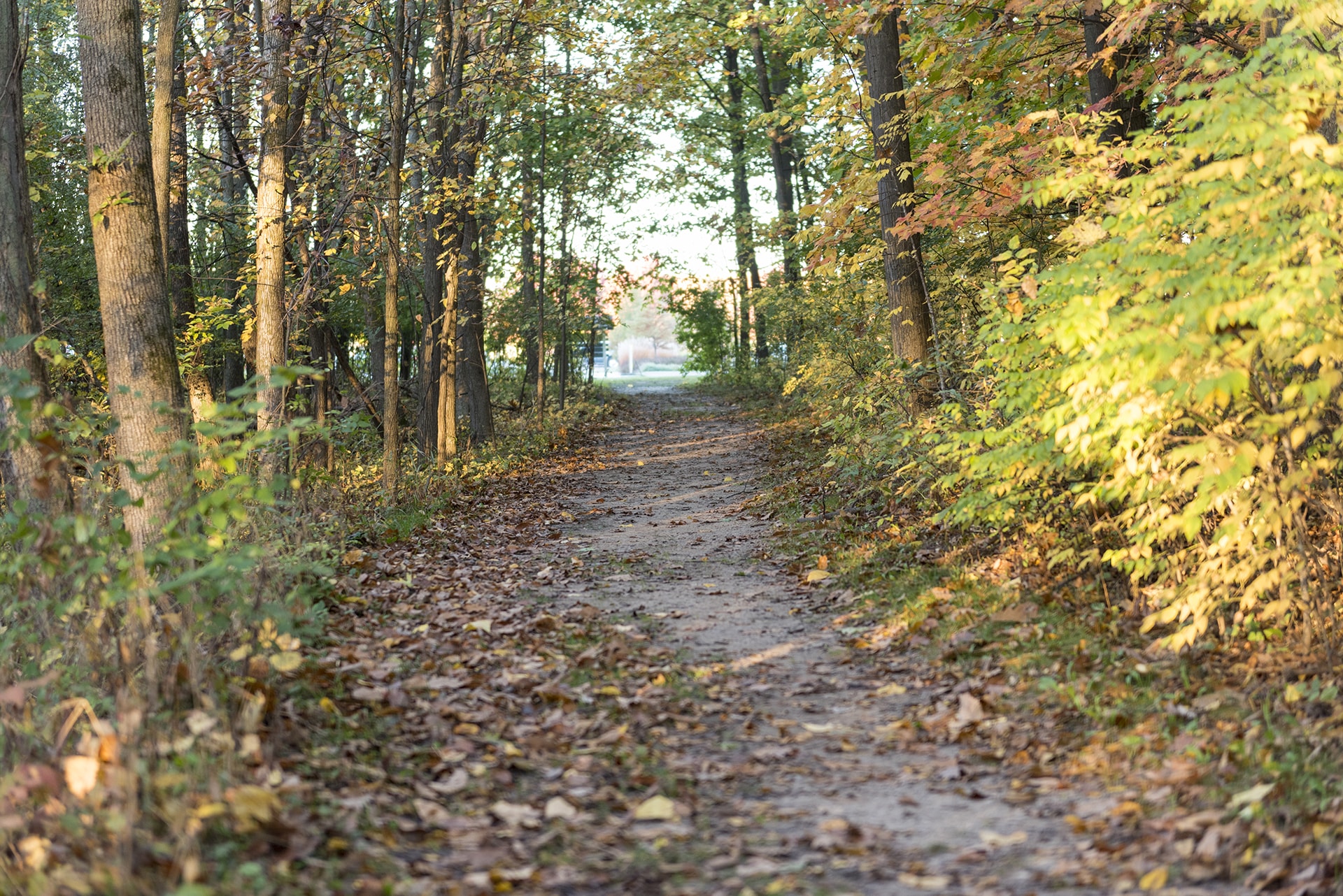 Walking Trail